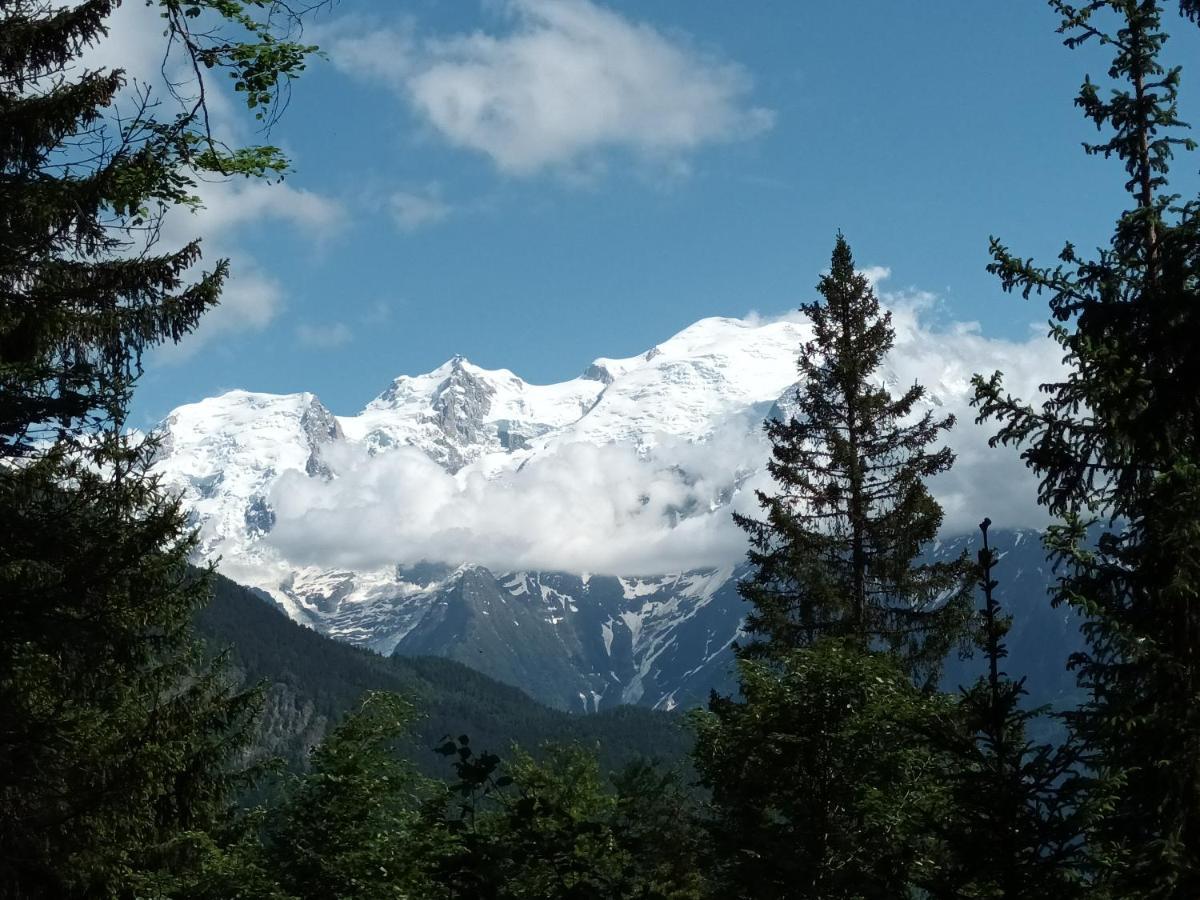 Le Flory'Lege Lejlighed Saint-Gervais-les-Bains Eksteriør billede